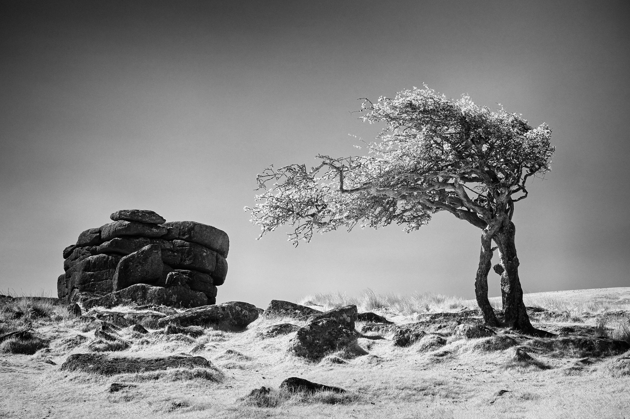 Comebstone Tor Hawthorn IFP