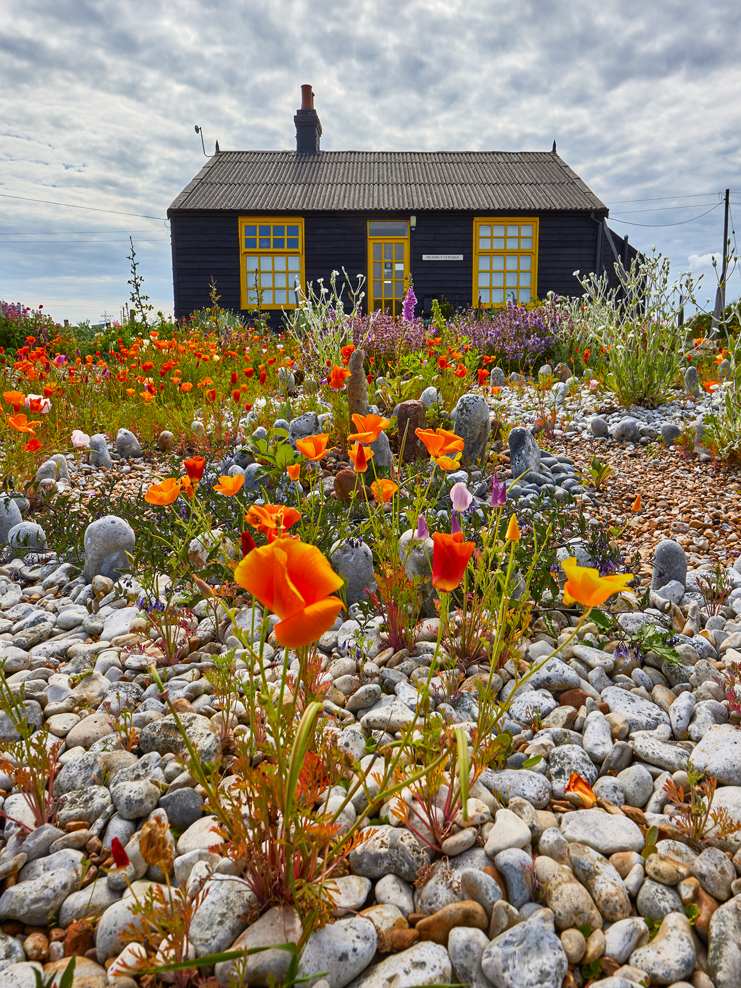 The Flowery House